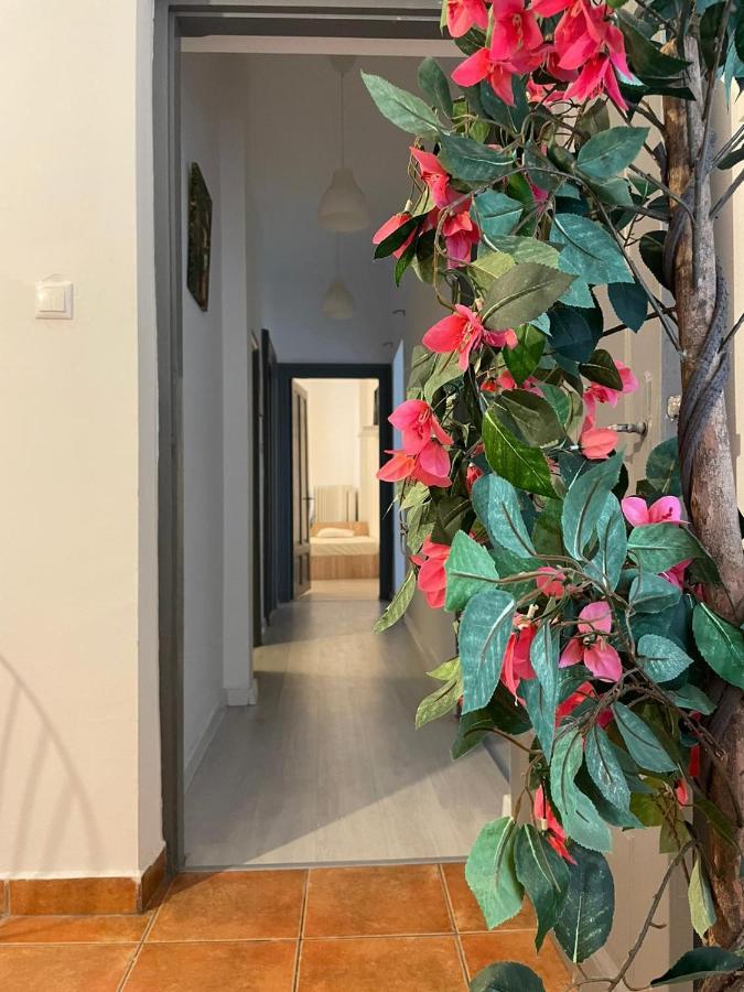 Outstanding 3Br Ultracentral Cityview Balcony Aaa Apartment บูคาเรสต์ ภายนอก รูปภาพ